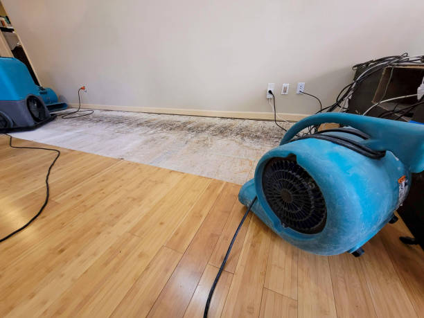Reliable Basement Flood Cleanup contractor in Augusta, ME by Hirex Water Damage