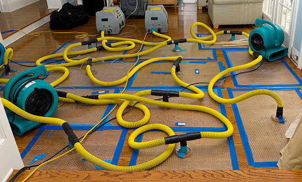 Professional Basement Flood Cleanup technician working in Augusta, ME